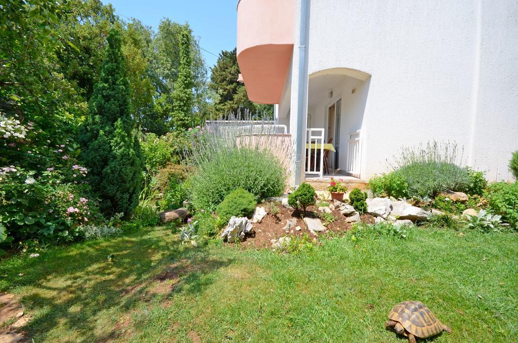 Apartments Snjezana Novi Vinodolski Zewnętrze zdjęcie