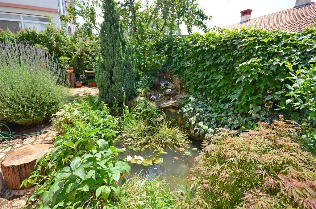 Apartments Snjezana Novi Vinodolski Zewnętrze zdjęcie